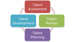 Succession Planning Process resized 600