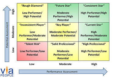 Example of a 9 box grid used for succession planning