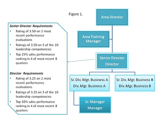 succession planning process