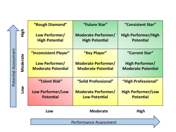 9 Box Risk Retention Identifying and Removing Blockers Using the 9 Box Grid